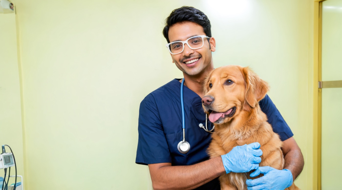 A veterinarian caring for a dog