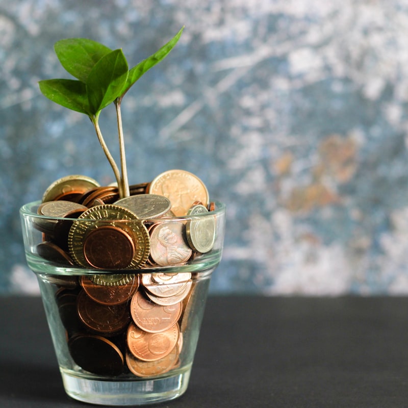Coins growing in a pot